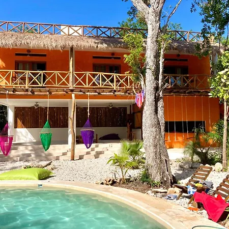 The Jungle House, Sacbe