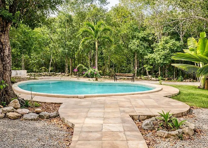 The Jungle House, Sacbe *