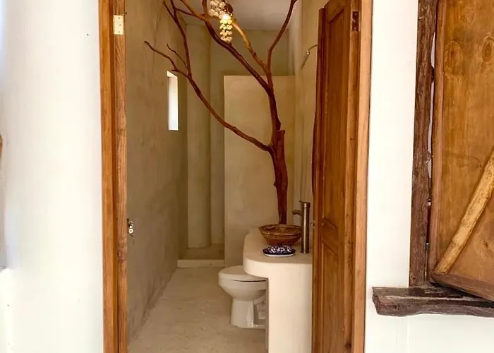 Hospedagem domiciliar The Jungle House, Sacbe