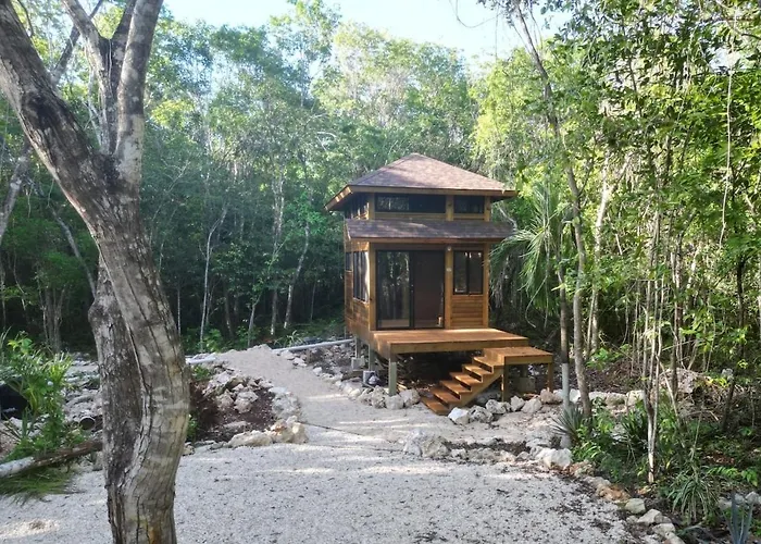 The Jungle House, Sacbe Hospedagem domiciliar